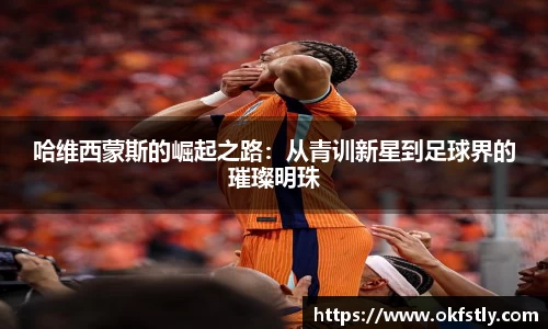 OE欧亿官方网站